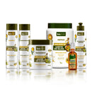 Kit Explosão de Azeite de Oliva + Óleo Abacate e Oliva | bn.Cachos